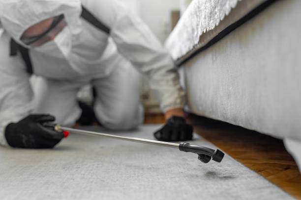 Professional Bed Bug Control technician working in Hoover, AL