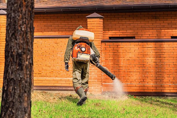 Trusted Termite Control service in Hoover, AL - Nex Pest Control